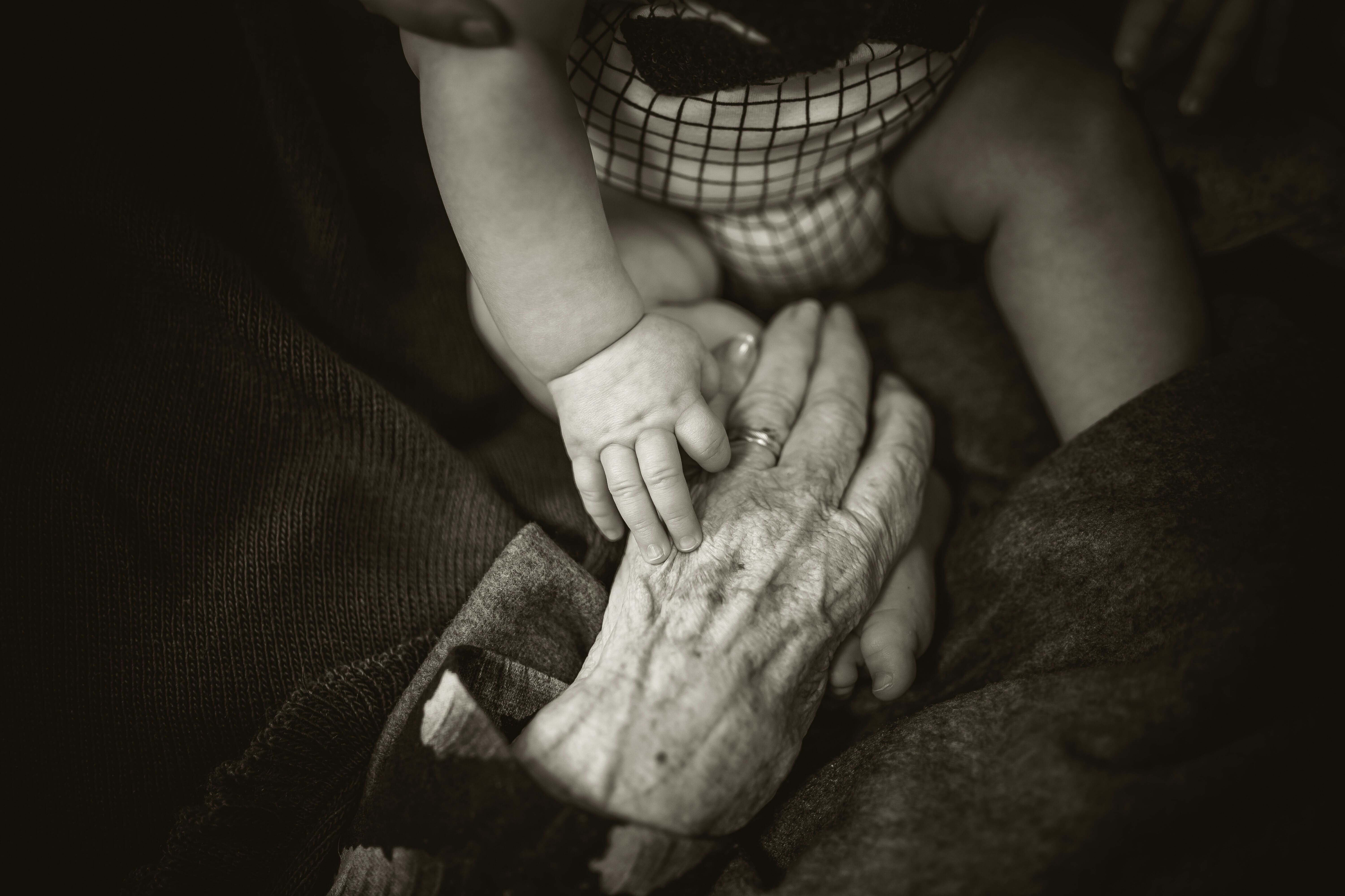 FineVita rod long unsplash