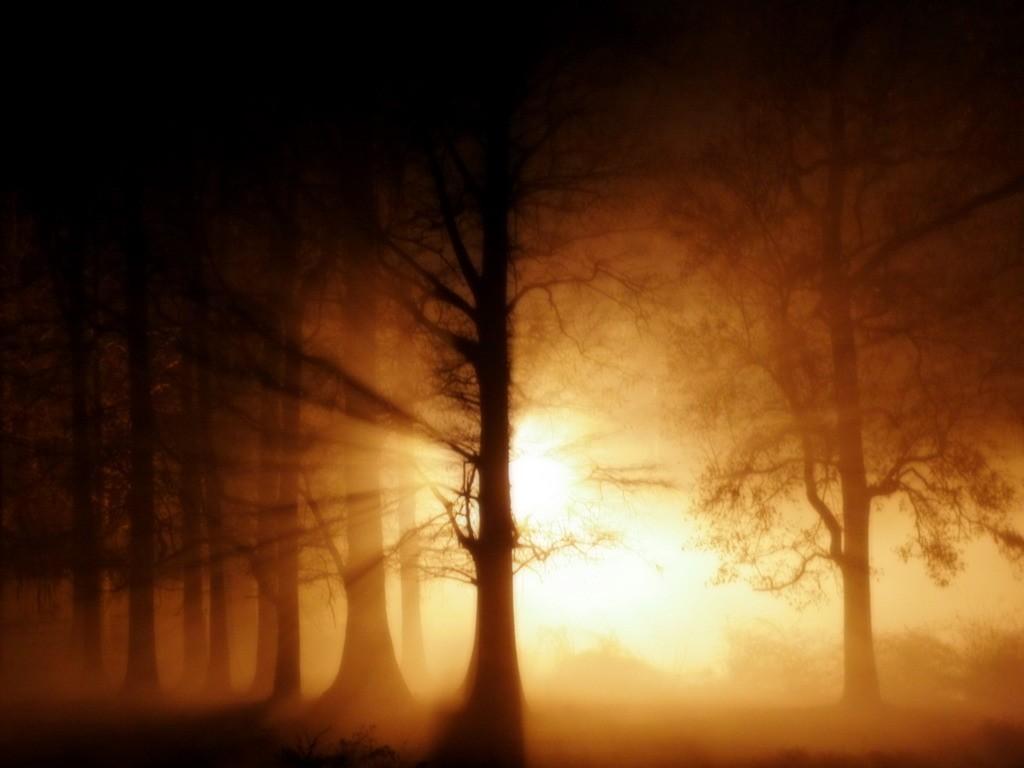 luce-2.jpg