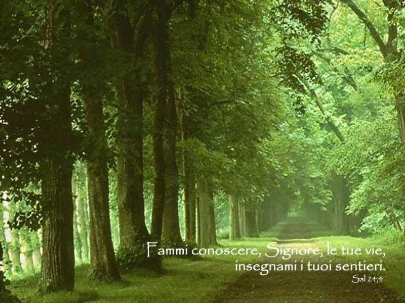 sentieri